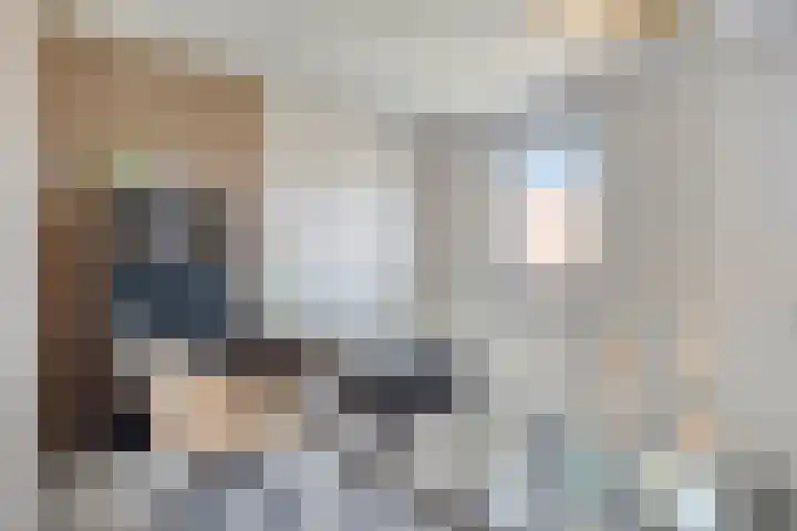 Laurierplein 64 Eindhoven thumbnail 14