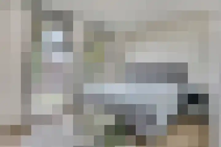 Laurierplein 64 Eindhoven thumbnail 19