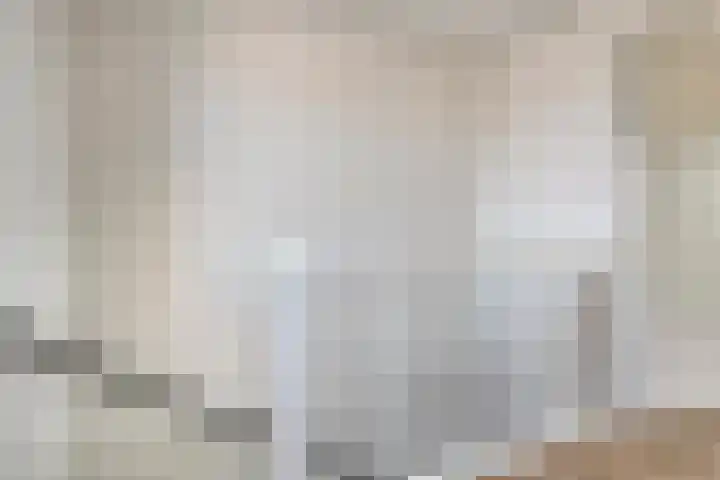 Laurierplein 64 Eindhoven thumbnail 27