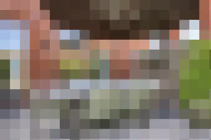 Laurierplein 64 Eindhoven thumbnail 32