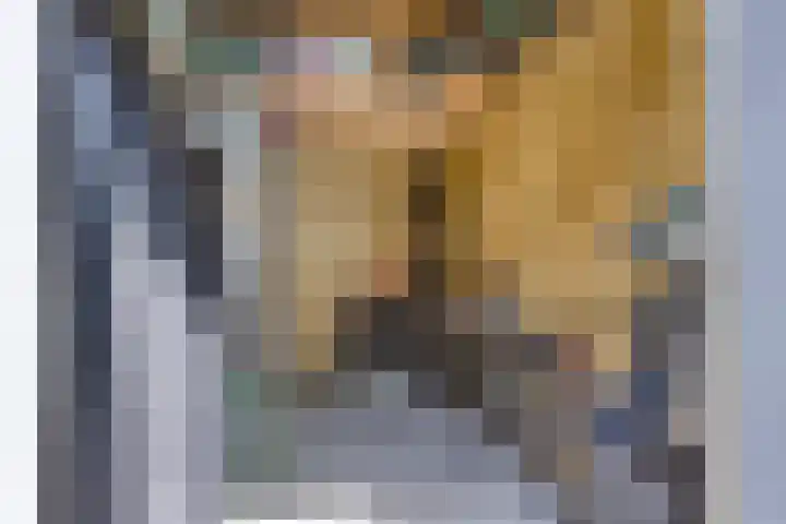 Laurierplein 64 Eindhoven thumbnail 33