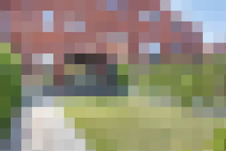 Laurierplein 64 Eindhoven thumbnail 34