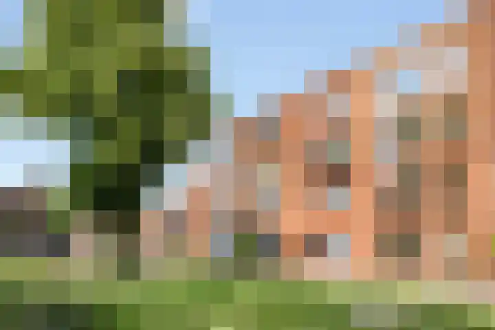 Laurierplein 64 Eindhoven thumbnail 35