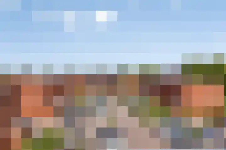 Laurierplein 64 Eindhoven thumbnail 39
