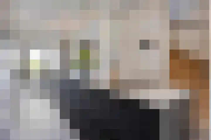 Laurierplein 64 Eindhoven thumbnail 5