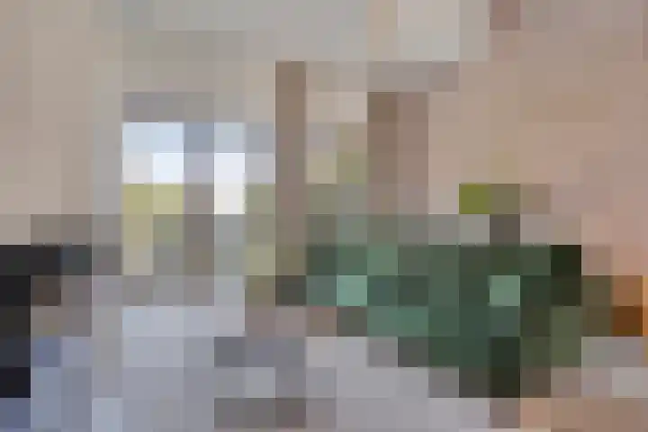 Laurierplein 64 Eindhoven thumbnail 6