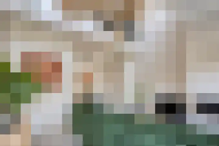Laurierplein 64 Eindhoven thumbnail 7