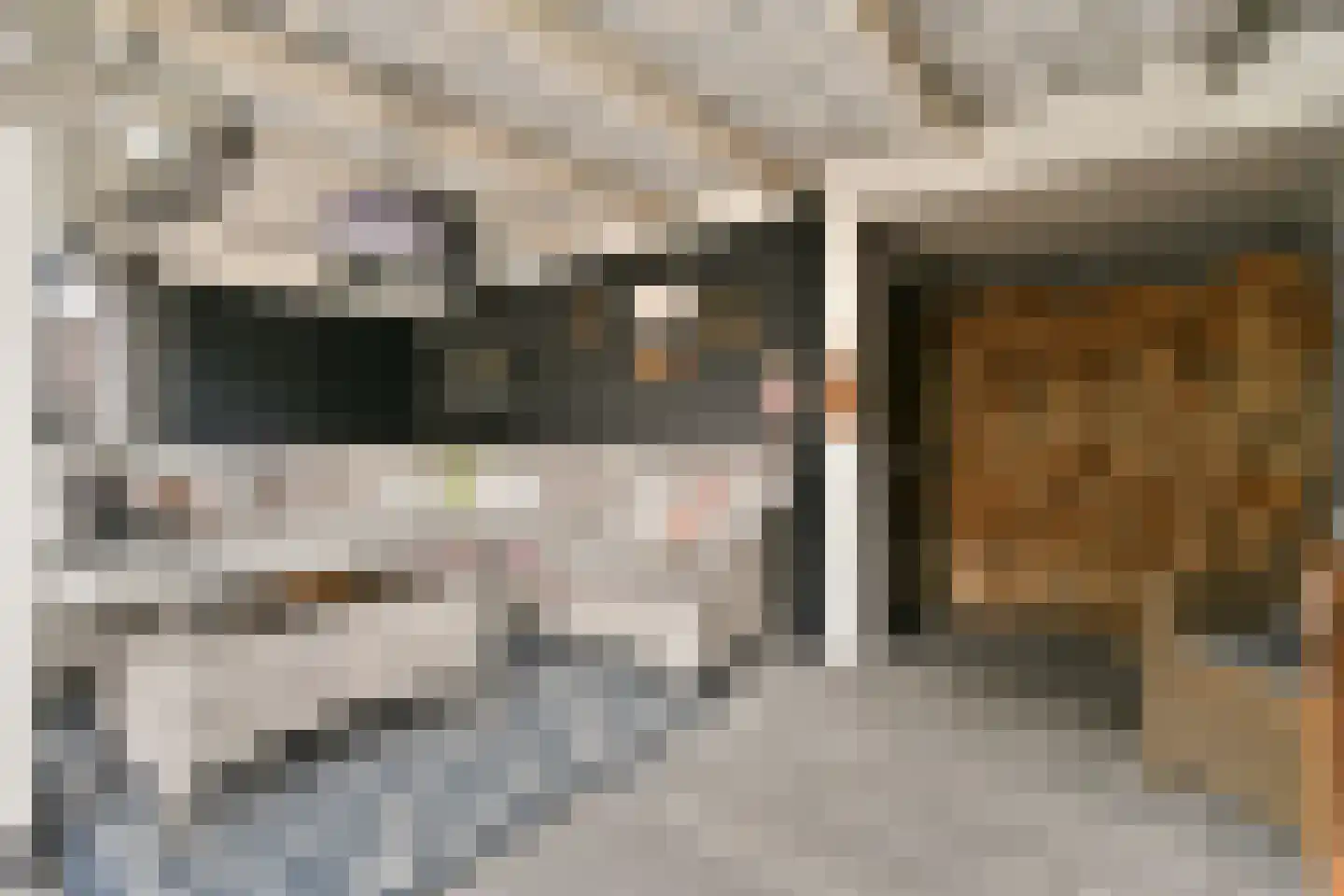 Laurierstraat 1 Dordrecht thumbnail 19