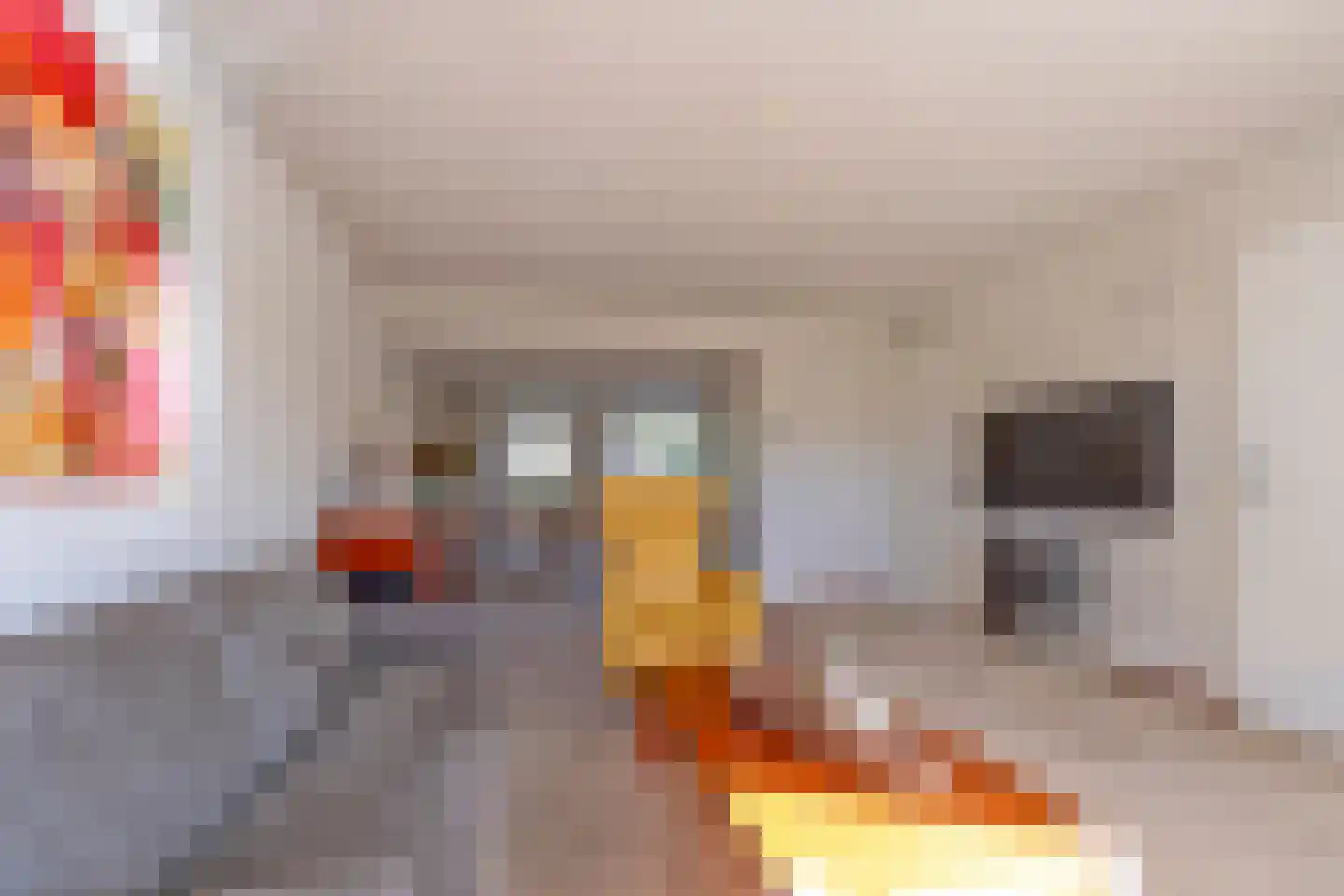 Laurierstraat 10 Assen thumbnail 16