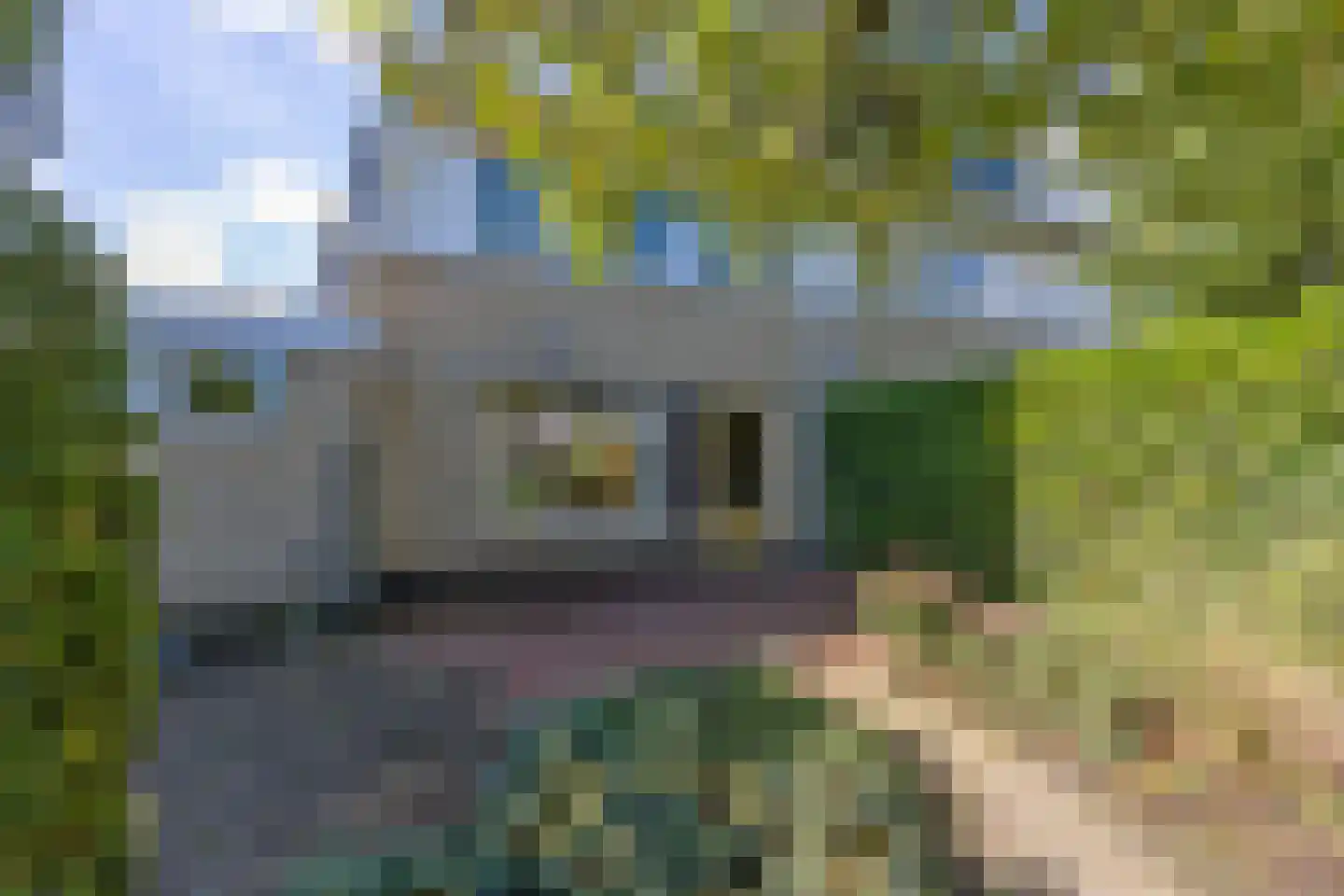 Laurierstraat 10 Assen thumbnail 46