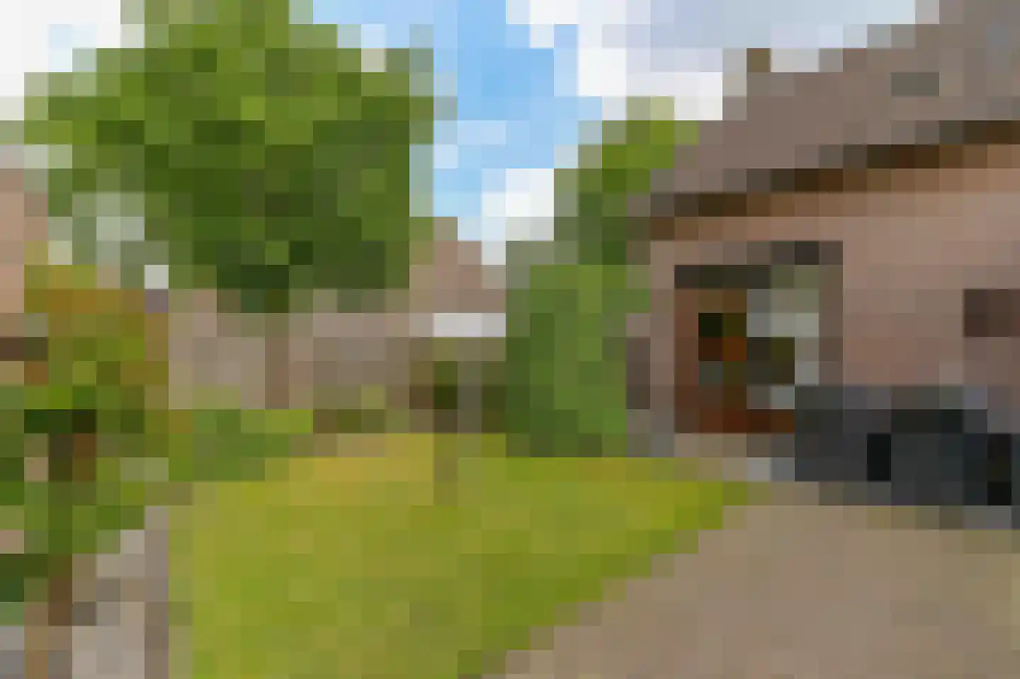 Laurierstraat 10 Venlo thumbnail 10
