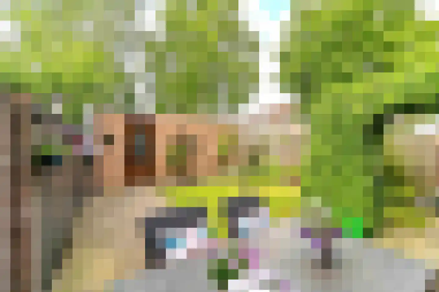 Laurierstraat 10 Venlo thumbnail 9
