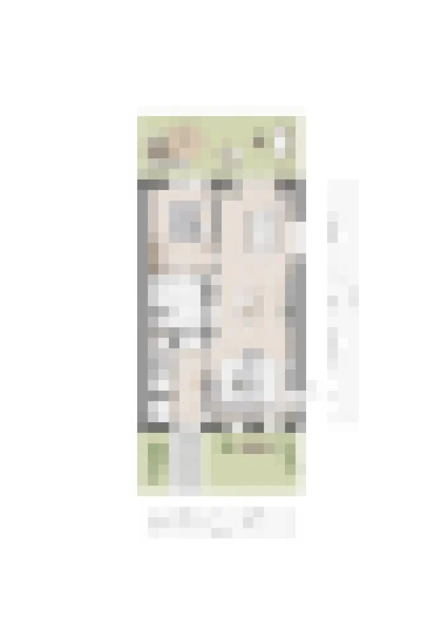 Laurierstraat 11 's-Gravenpolder thumbnail 4
