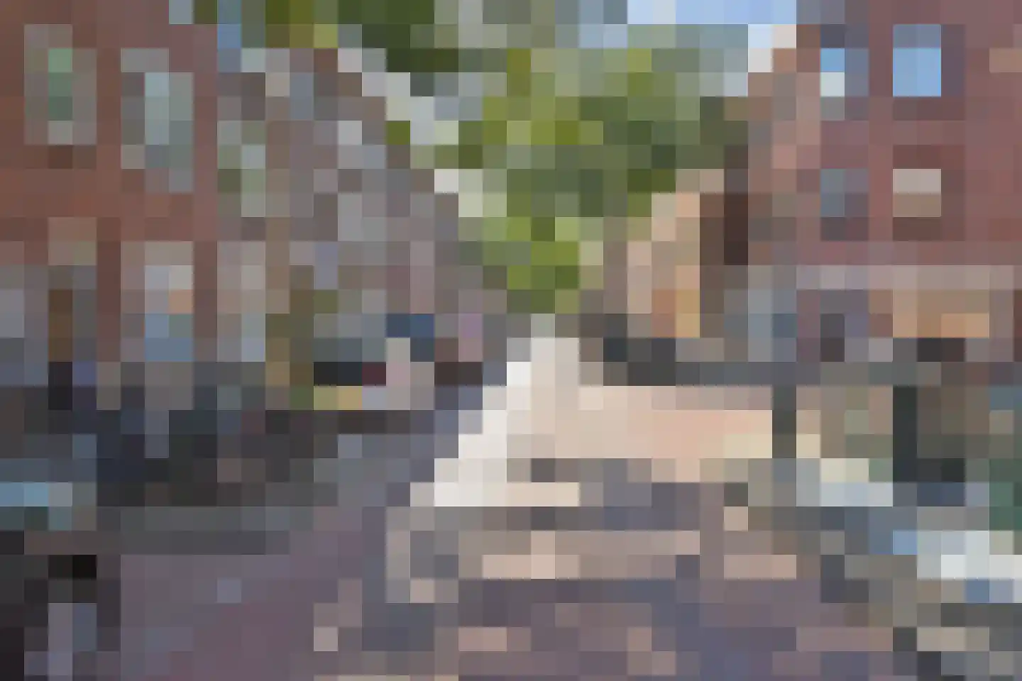 Laurierstraat 127 Den Haag thumbnail 41