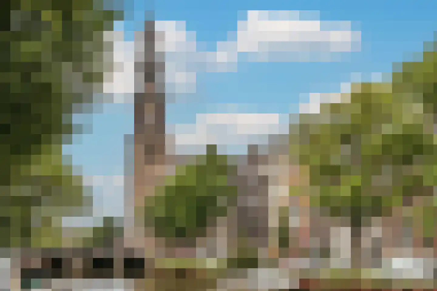 Laurierstraat 188 C Amsterdam thumbnail 31