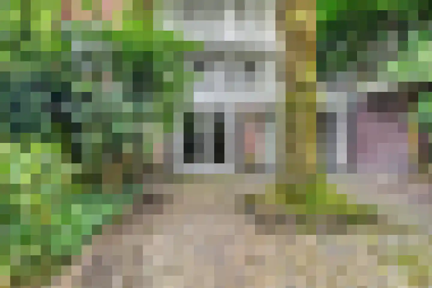 Laurierstraat 208 Amsterdam thumbnail 35