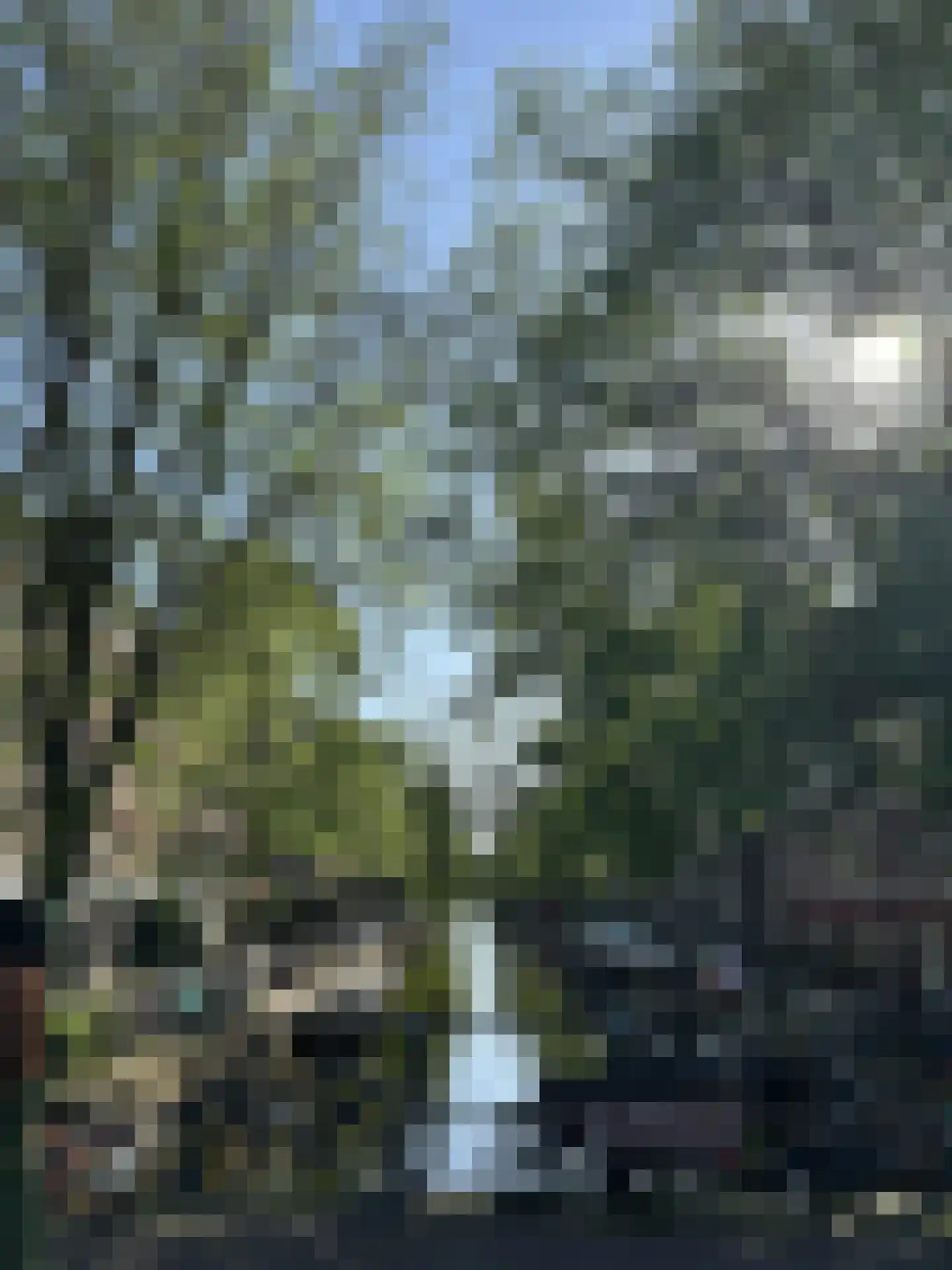 Laurierstraat 210 2 Amsterdam thumbnail 32