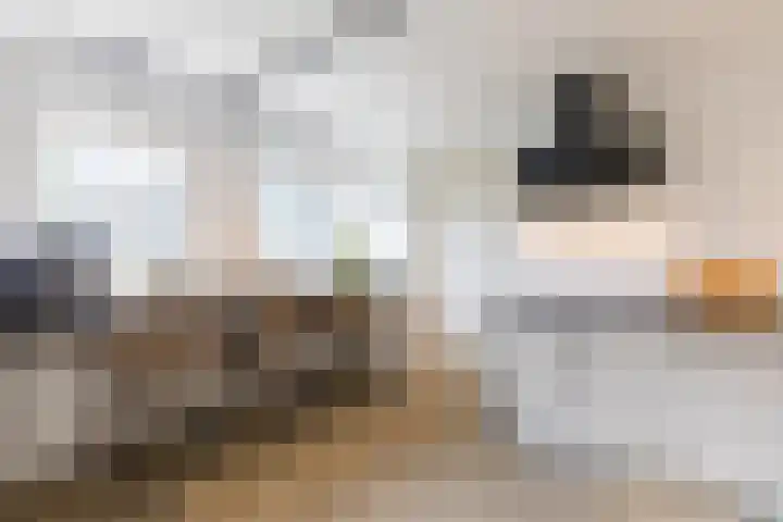 Laurierstraat 24 Echt thumbnail 17