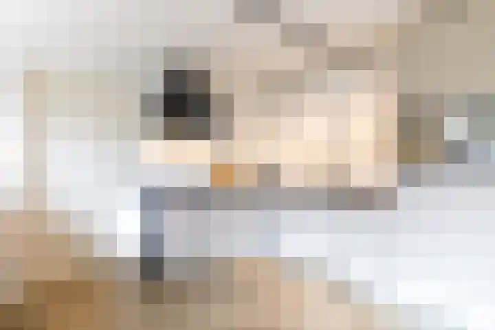 Laurierstraat 24 Echt thumbnail 18