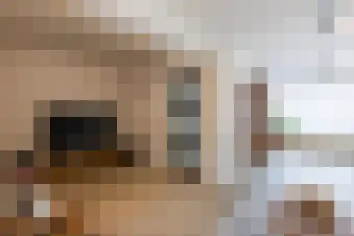 Laurierstraat 24 Echt thumbnail 8