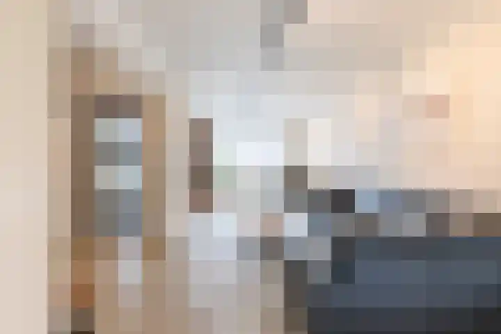 Laurierstraat 24 Echt thumbnail 9