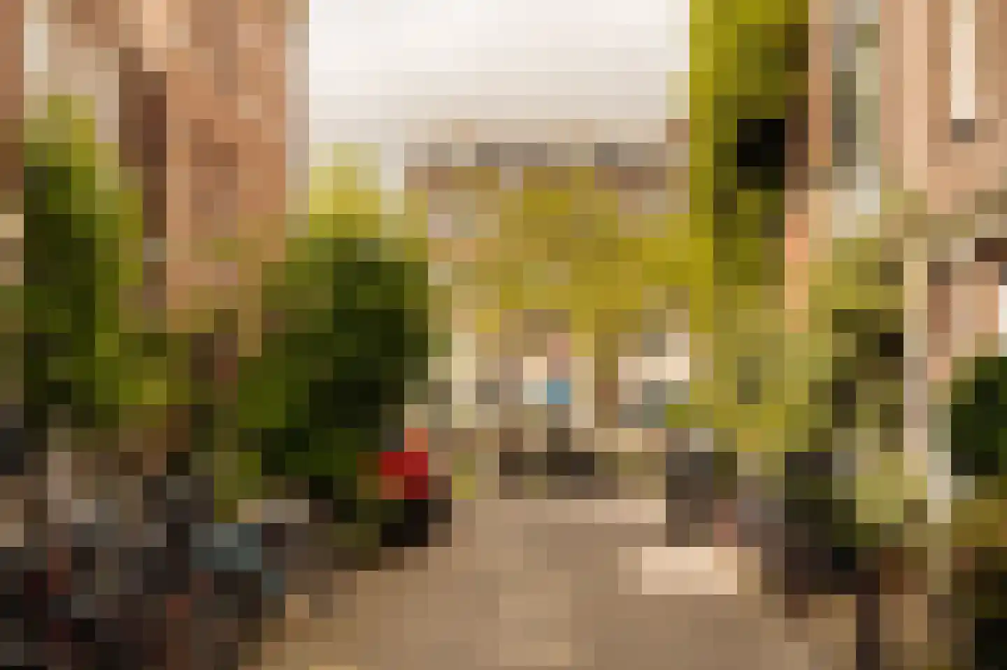 Laurierstraat 248 2 Amsterdam thumbnail 24