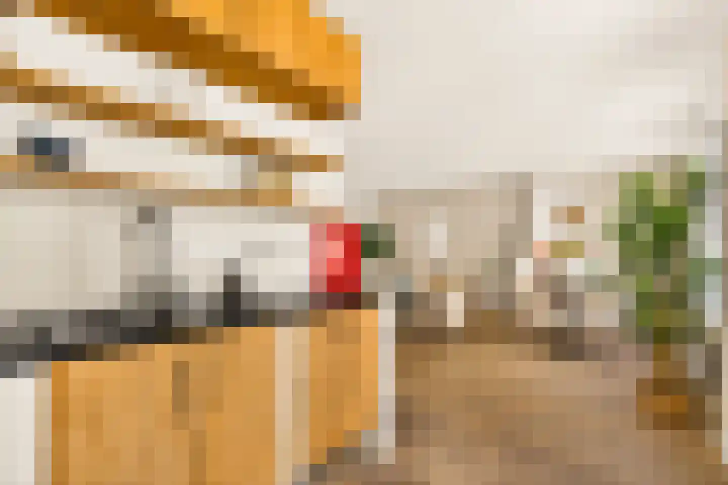 Laurierstraat 27 2 Amsterdam thumbnail 7