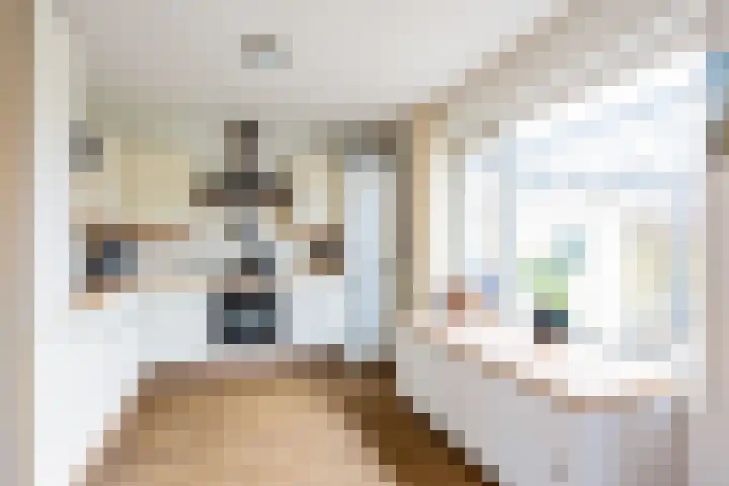 Laurierstraat 36 Assen thumbnail 25