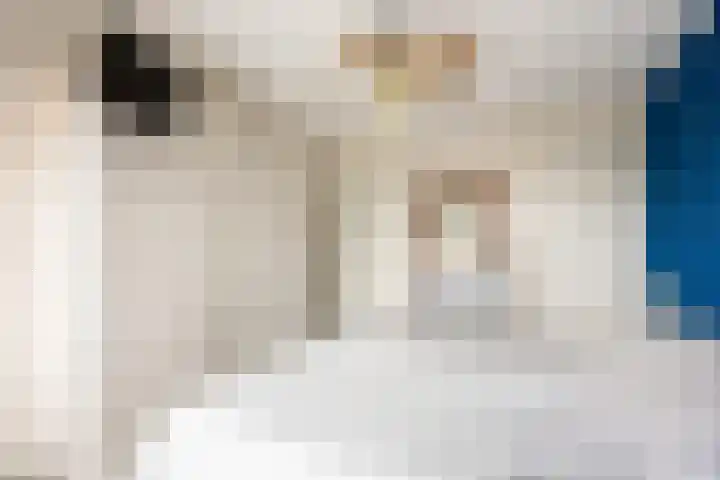 Laurierstraat 36 Assen thumbnail 33