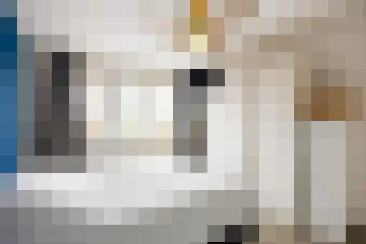 Laurierstraat 36 Assen thumbnail 5
