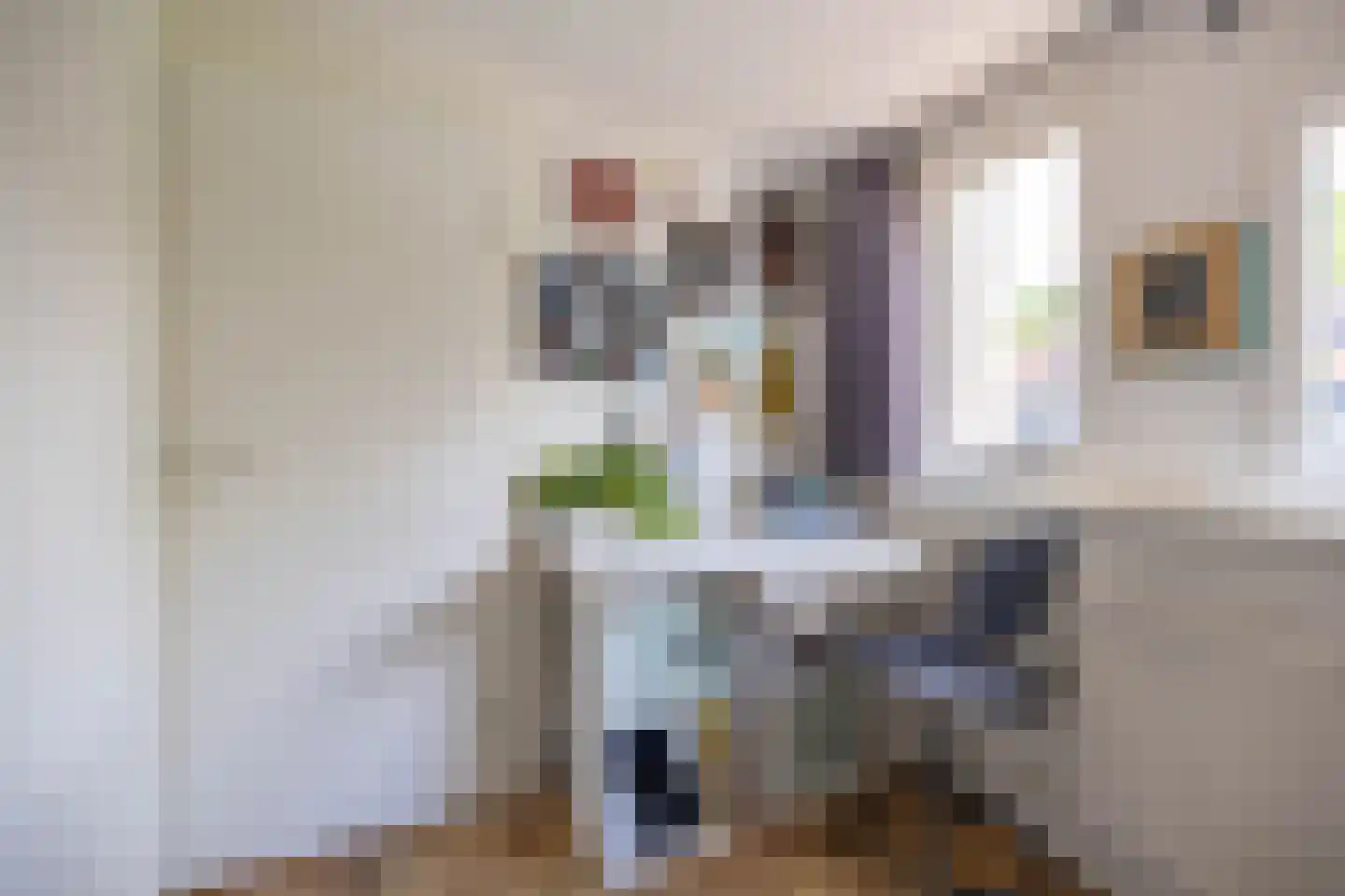 Laurierstraat 38 Groningen thumbnail 28