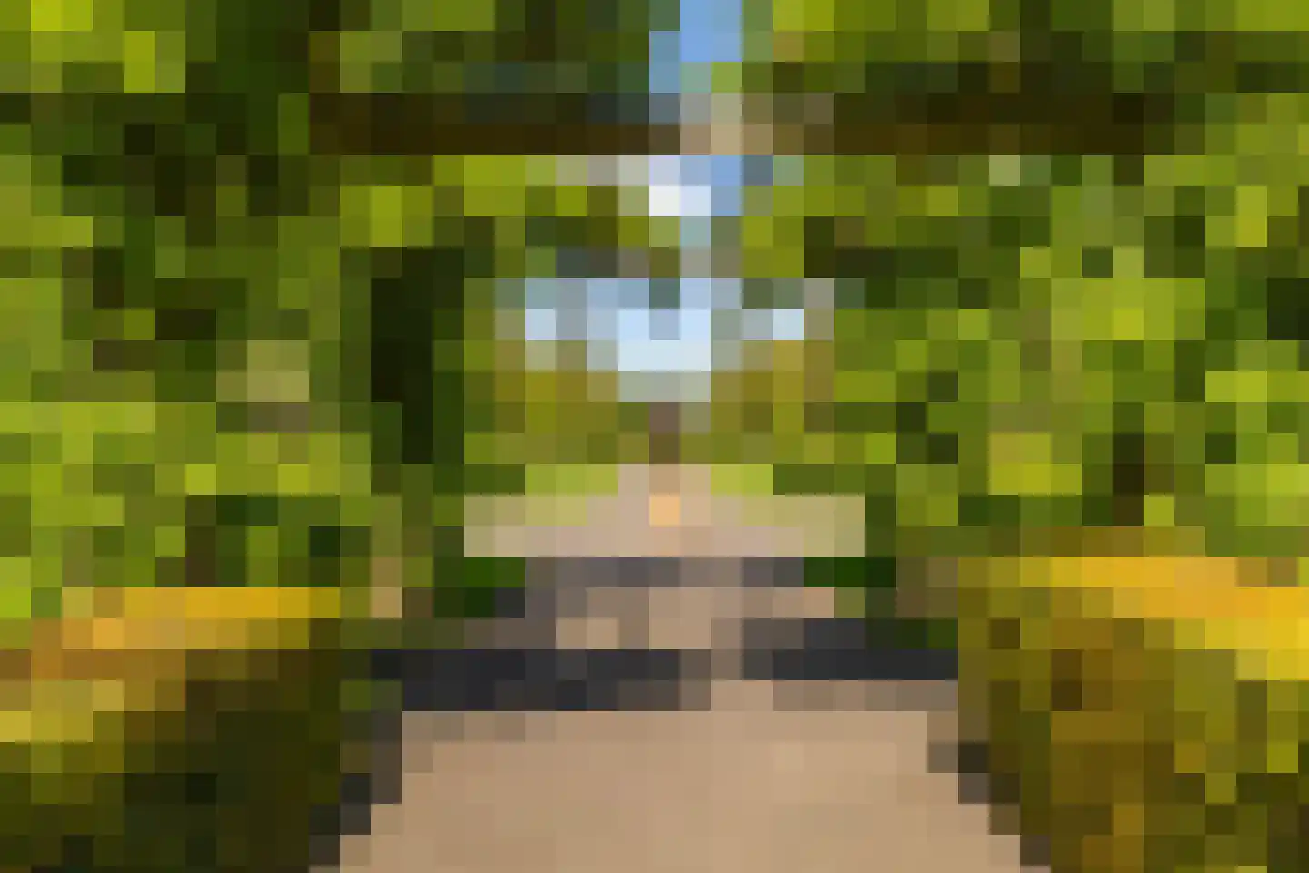 Laurierstraat 38 Groningen thumbnail 36