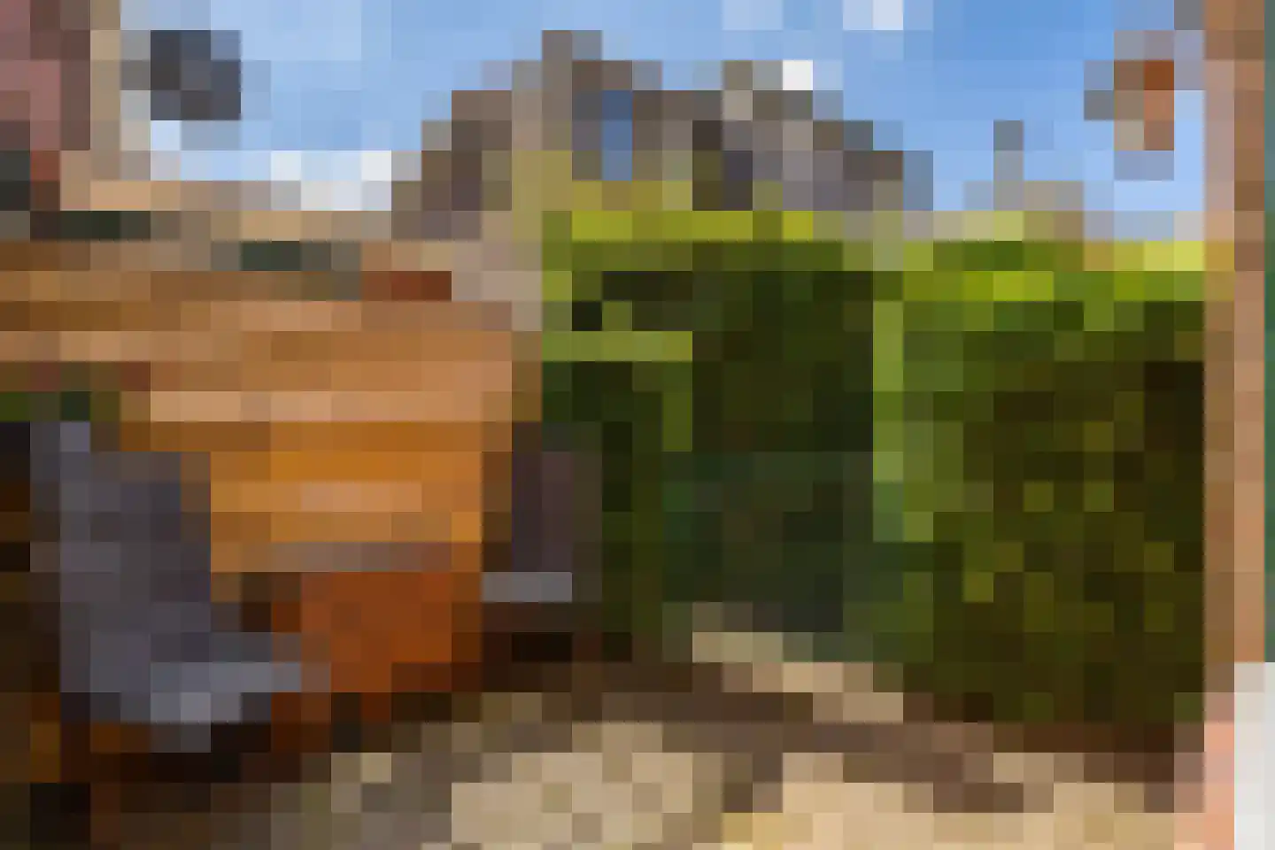 Laurierstraat 38 Groningen thumbnail 4