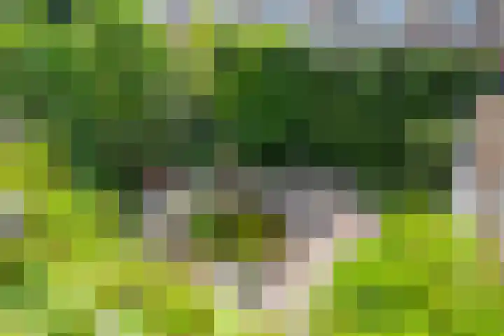 Laurierstraat 38 Waalwijk thumbnail 31