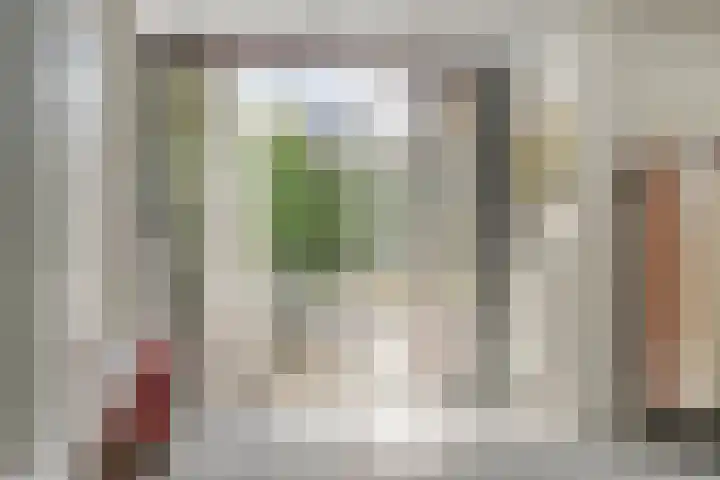 Laurierstraat 38 Waalwijk thumbnail 8