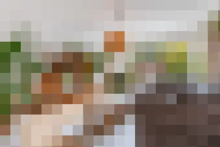 Laurierstraat 40 Apeldoorn thumbnail 4