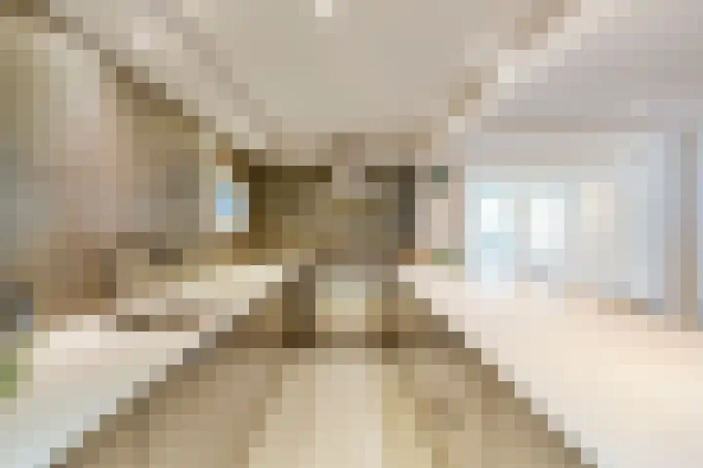 Laurierstraat 41 E Amsterdam thumbnail 17