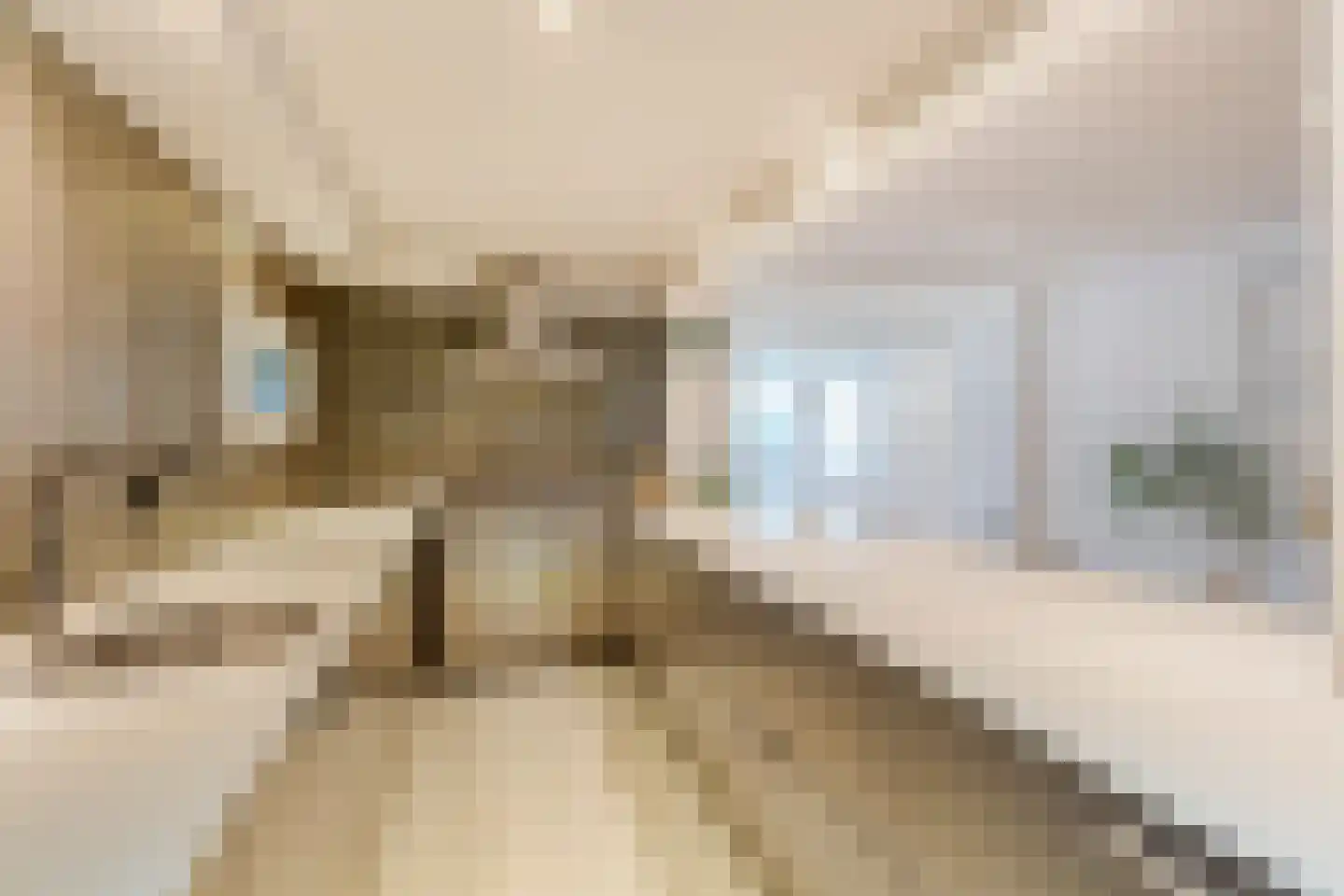 Laurierstraat 41 E Amsterdam thumbnail 20