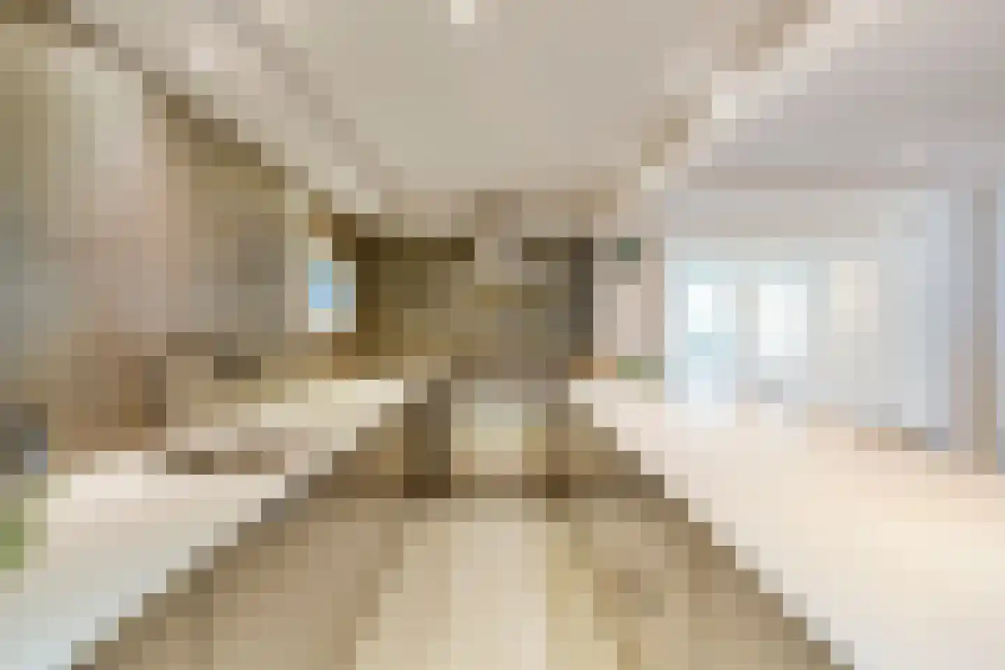 Laurierstraat 41 E Amsterdam thumbnail 21