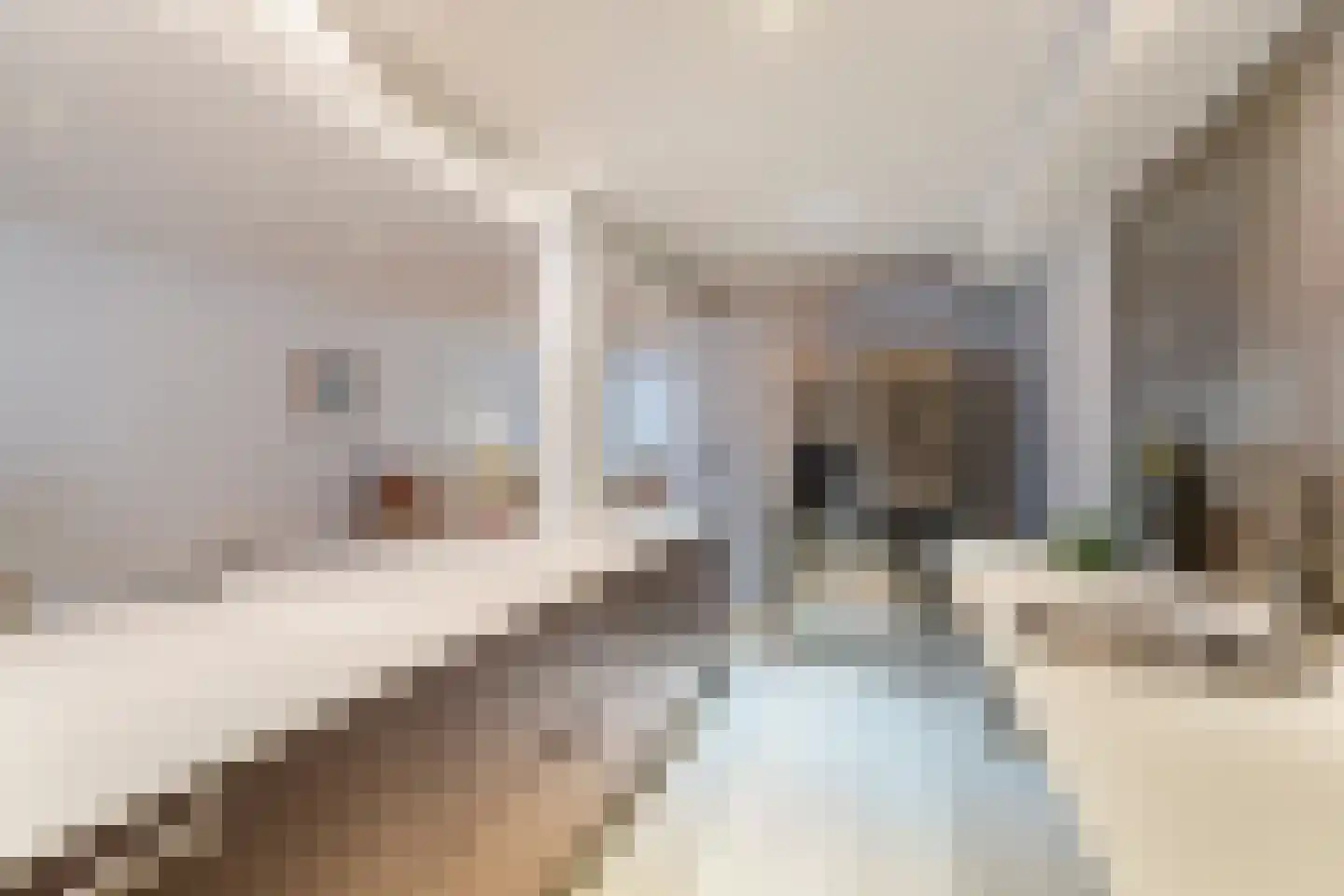 Laurierstraat 41 E Amsterdam thumbnail 22