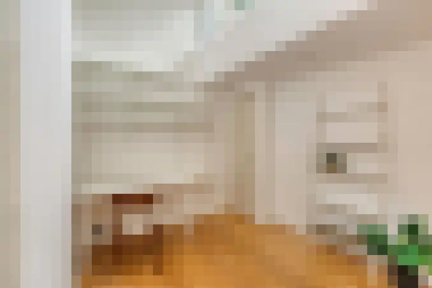 Laurierstraat 41 E Amsterdam thumbnail 39
