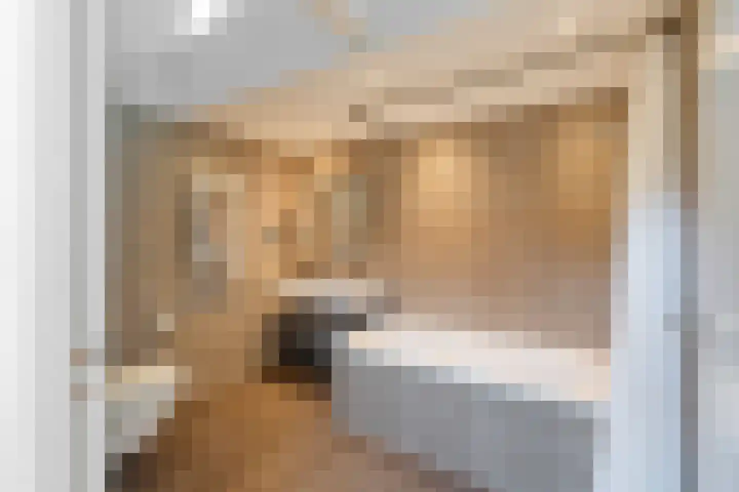 Laurierstraat 41 E Amsterdam thumbnail 43