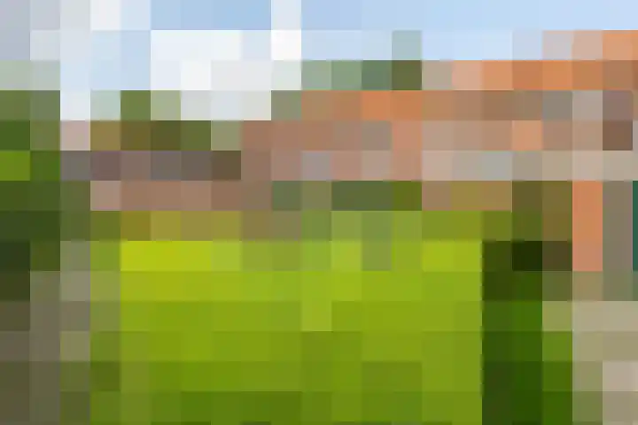 Laurierstraat 42 Groningen thumbnail 33