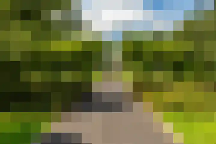 Laurierstraat 42 Groningen thumbnail 35