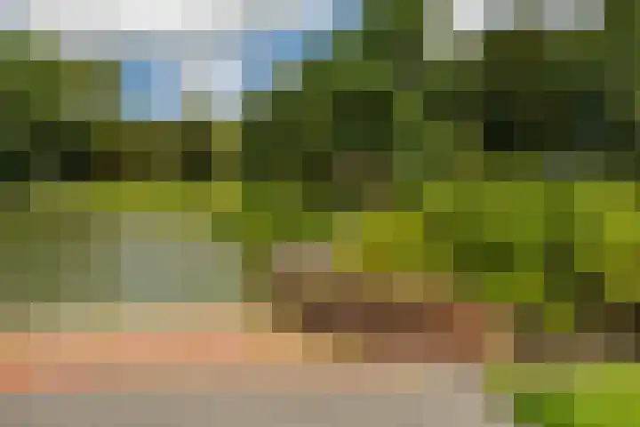Laurierstraat 42 Groningen thumbnail 36