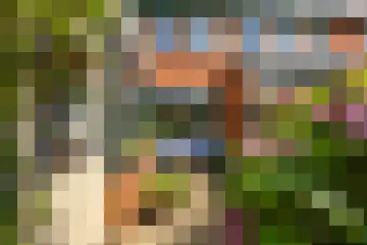 Laurierstraat 42 Groningen thumbnail 4