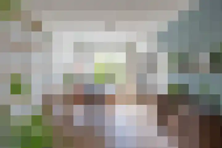 Laurierstraat 42 Groningen thumbnail 8