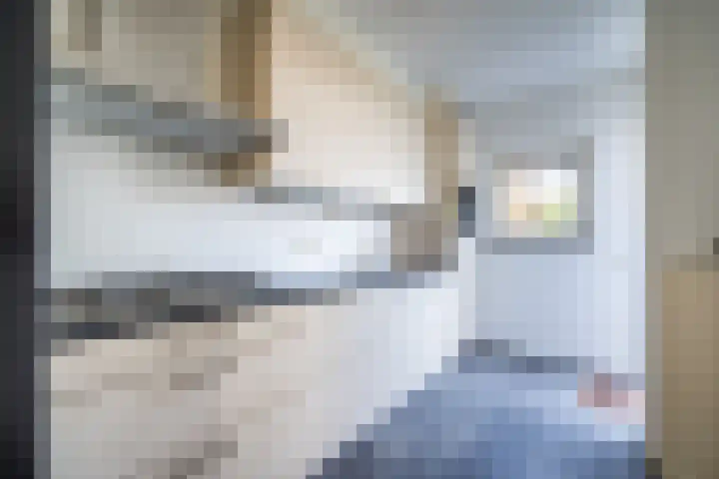 Laurierstraat 45 Nederweert thumbnail 9