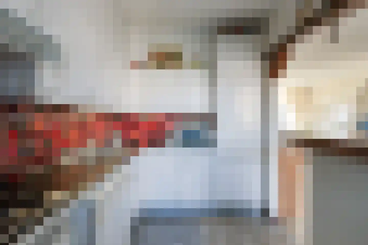 Laurierstraat 46 Dordrecht thumbnail 8