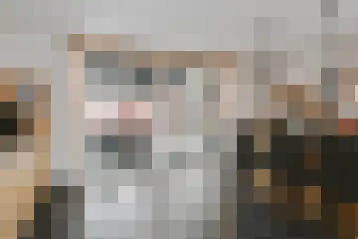Laurierstraat 60 Nederweert thumbnail 10